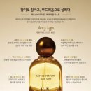 기억헤어 이미지