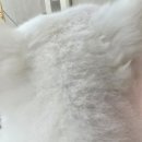 두암한방병원 이미지
