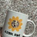 휴먼비샵 이미지