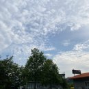 하장3길-3 이미지