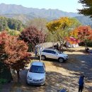 가평사과나무캠핑장 이미지