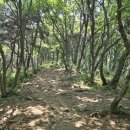 대부해솔길 2코스 | 안산에서 대부 해솔길 1코스[2탄] 개미허리아치교, 낙조전망대, 북망산전망대까지