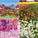 수헐천 | 충남 서산 안면도 가볼만한곳 태안 국제 원예 치유 꽃 박람회 입장료