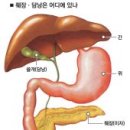 돼지감자의 효능 이미지