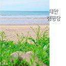 소리바다펜션민박 | 태안 캠핑장 노지감성 풍부한 프라이빗 해변 오션뷰 바다와파도소리