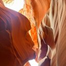 그랜드PC | LA 라스베가스 출발 그랜드캐년 투어 비교｜당일투어 vs 1박2일 가격 내돈내산 후기