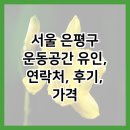 운동공간;유인 이미지