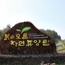 붉은오름자연휴양림 티스토리