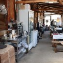 청벽거북 이미지