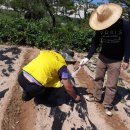 수봉농장 이미지