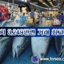 동경참치 이미지