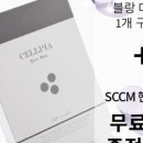 셀피아 이미지