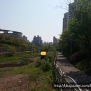 풍수부동산중개사무소 네이버블로그