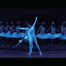 윌트레이딩 이미지