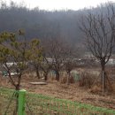 지택21공인중개사사무소 네이버블로그