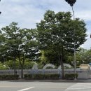 광주여행코스 추천: 국립아시아문화전당(ACC) 폴란드 포스터전 《침묵, 그 고요한 외침》 솔직 후기 (~7/5)