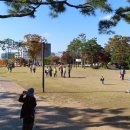 남산공원 이미지