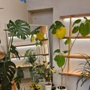 거창(대구) | 대구 근교 데이트, 거창 마리면 뷰가 좋은 카페 하고리 후기