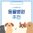 대형동물병원 | 대형 동물병원 추천, 선택할 때 꼭 알아두셔야 할 점
