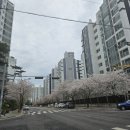 충남 예산주문제작케이크 제이델링 예산점 순우유딸기 케이크 후기