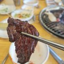 새진한방병원 | 청주소고기무한리필 진원소우 청주내덕점 : 고기 9종 정복! 내덕맛집 인정하고 온 솔직 후기