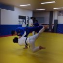 민앤마이노 유도클럽 이미지