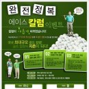 에이스골프닷컴 이미지