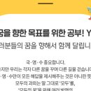 대한민국모두의과외