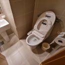 호텔 스카이파크 센트럴 명동점 | 호텔 스카이파크 명동 센트럴 가성비 호캉스