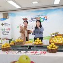 안덕농업협동조합 농산물산지유통센터 이미지