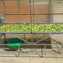 여주-0049 이미지