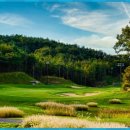 영동 일라이트CC 이미지