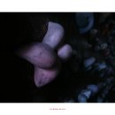 수원-0725 이미지