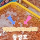 동성호횟집 이미지
