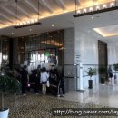 도남로가로수 | 경남 통영] 스탠포드 호텔 앤 리조트 통영, 바다 전망이 아름다웠던, 인피니티풀도 있는 신상호텔 이용후기