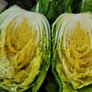 정남농장 이미지