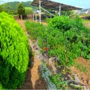 신양농협하나로마트 이미지