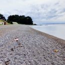 포항시남구동해면흥환보건진료소 이미지