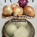농부의 꿈 | 지리산 함양양파 3kg 산지직송 _ 꿈꾸는농부 택배 후기
