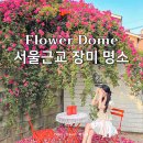 천안 아산 플라워돔 장미 명소 실시간 서울근교 당일치기 여행 후기