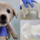 조산1길 이미지