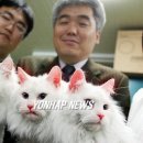 빨간고양이 - 중구 을지로 54-1 | 빨간고양이