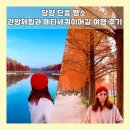 영화7길 | 담양 단풍 명소 관방제림과 메타세쿼이아 길 여행 후기