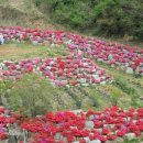 청양농장 이미지