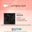 맹덕 이미지