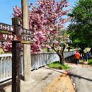 물레방아공원 이미지