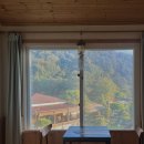 펫밀리펜션 이미지