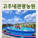 즐거운나들이 관광농원 | 양주 유수풀파크 | 고주내관광농원 후기 | 아이들과 둥둥, 즐거운 여름나기