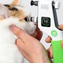 태안 동물병원 이미지