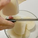 흥일농장 이미지